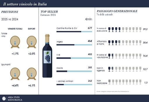 Vino, Mediobanca: nel 2024 Cantine Riunite-GIV ancora prima per vendite