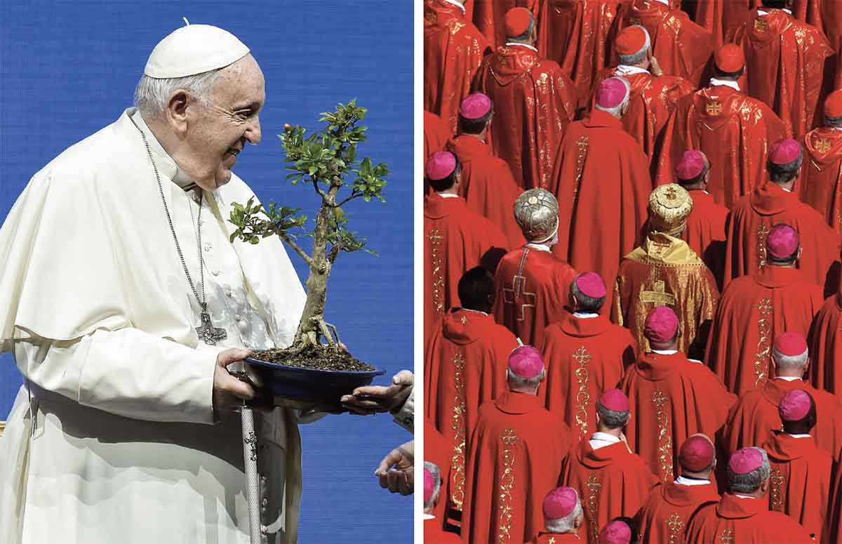Il “testamento verde” di Papa Francesco. Enciclica Laudato si’ monito per il futuro