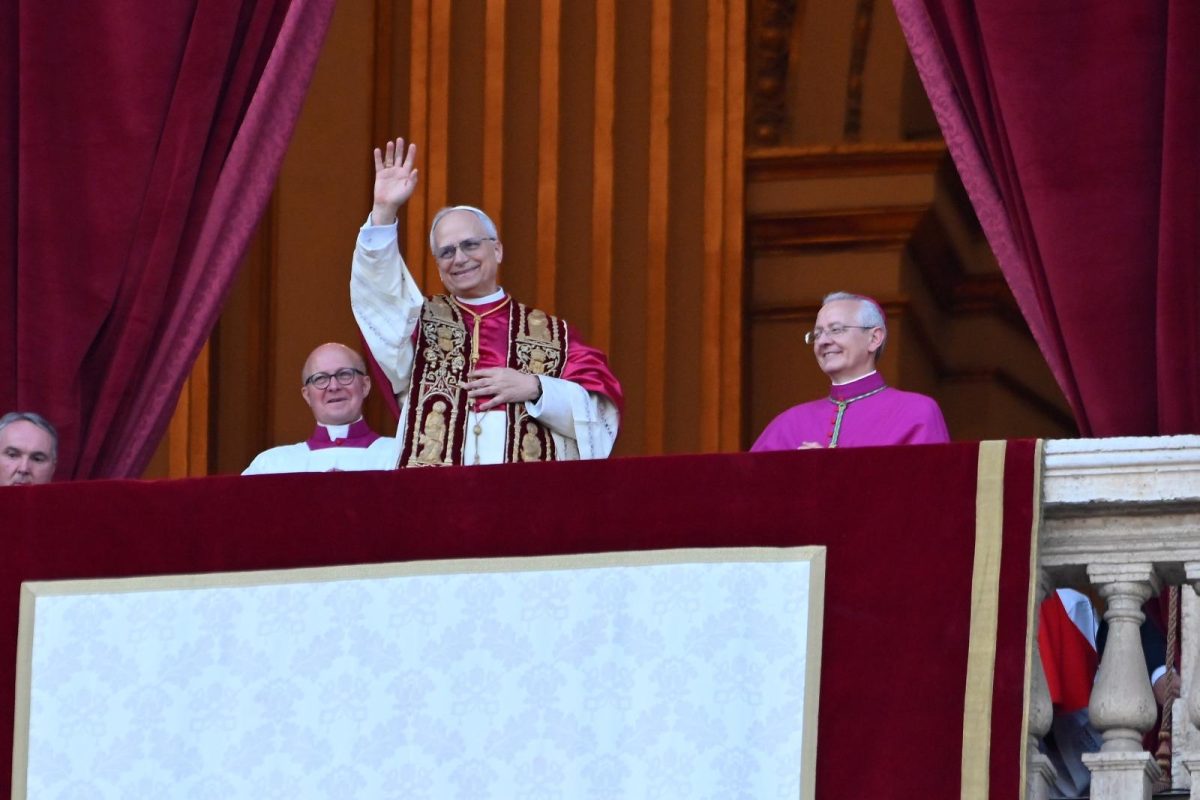 VIDEO | C’è la fumata bianca, ma un gabbiano vomita per dare da mangiare al cucciolo