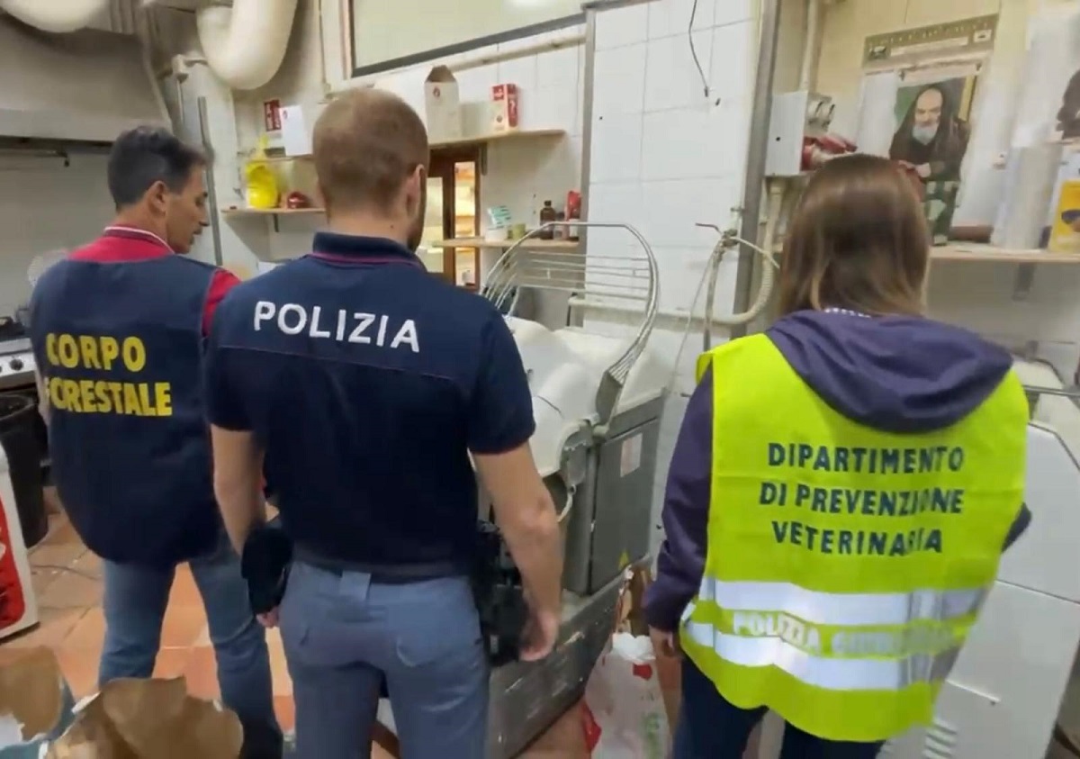Blitz in un panificio del centro storico di Catania: scarafaggi, alimenti non tracciati e lavoro nero