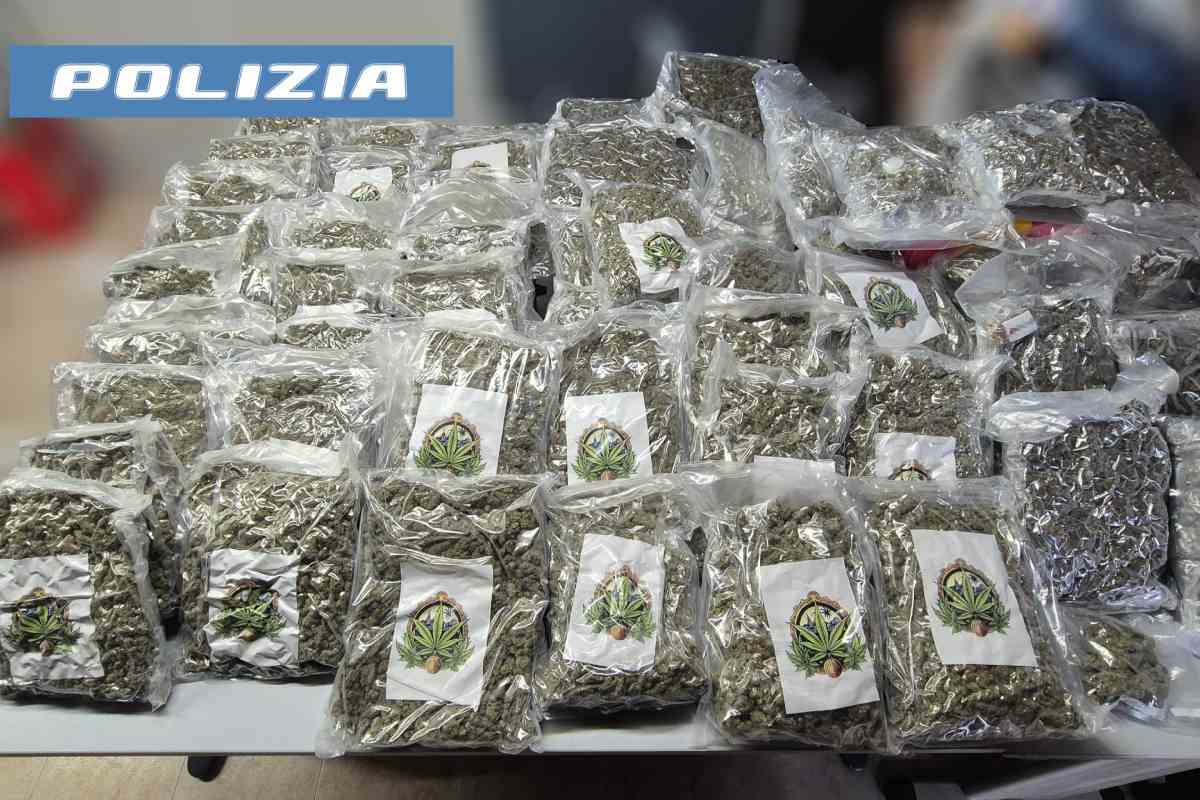 60 kg di droga nascosta nella cella del mercato ortofrutticolo di Siracusa: arrestato 46enne