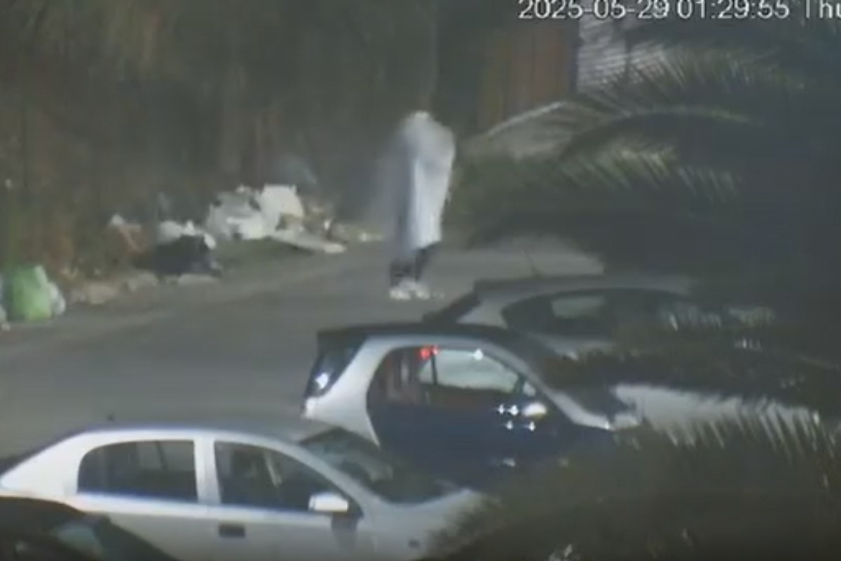 VIDEO | Un “fantasma” getta i rifiuti illegalmente nel palermitano: identificato e sanzionato