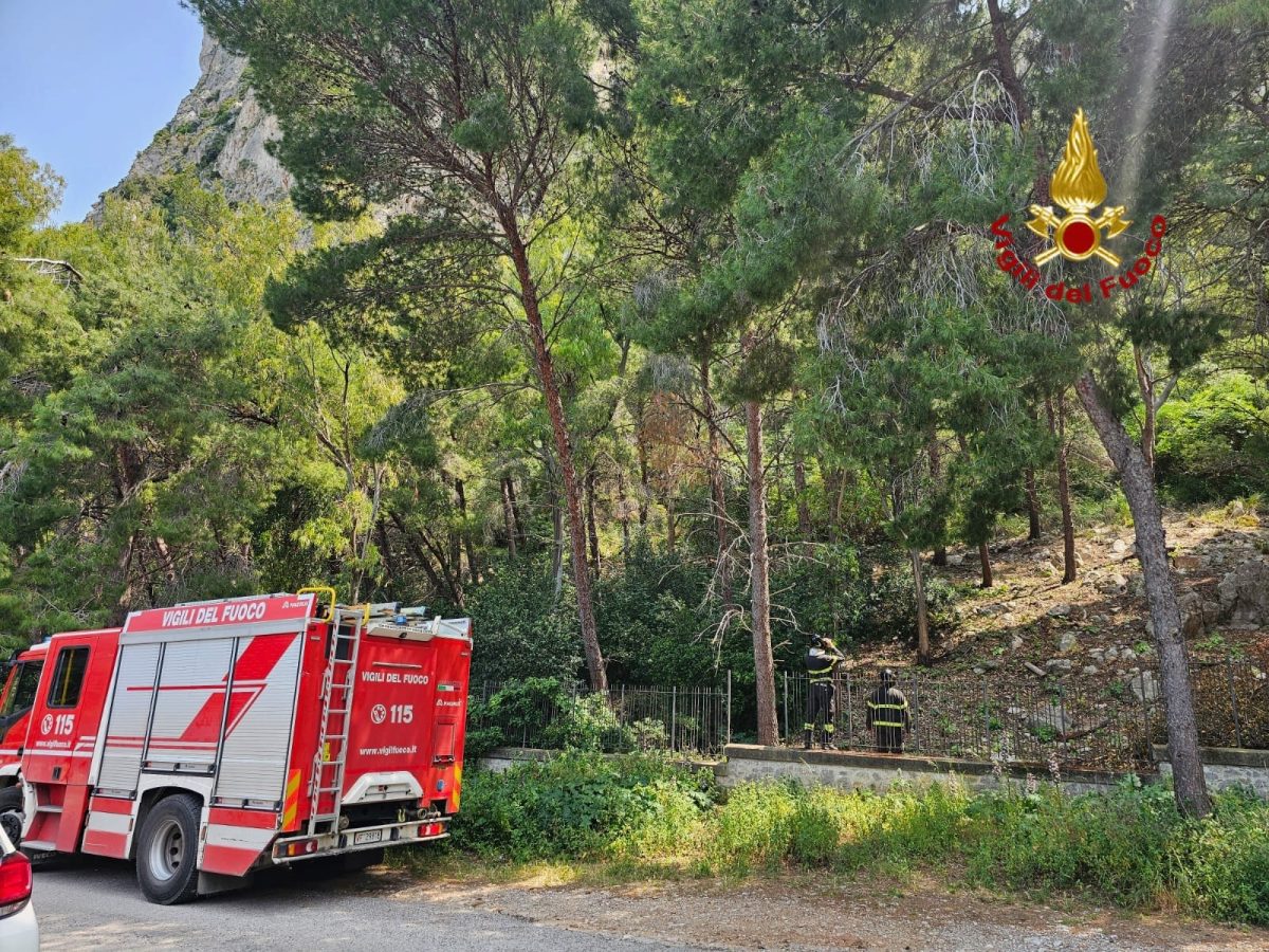Crollo a Montepellegrino, paura nel costone dell’Addaura