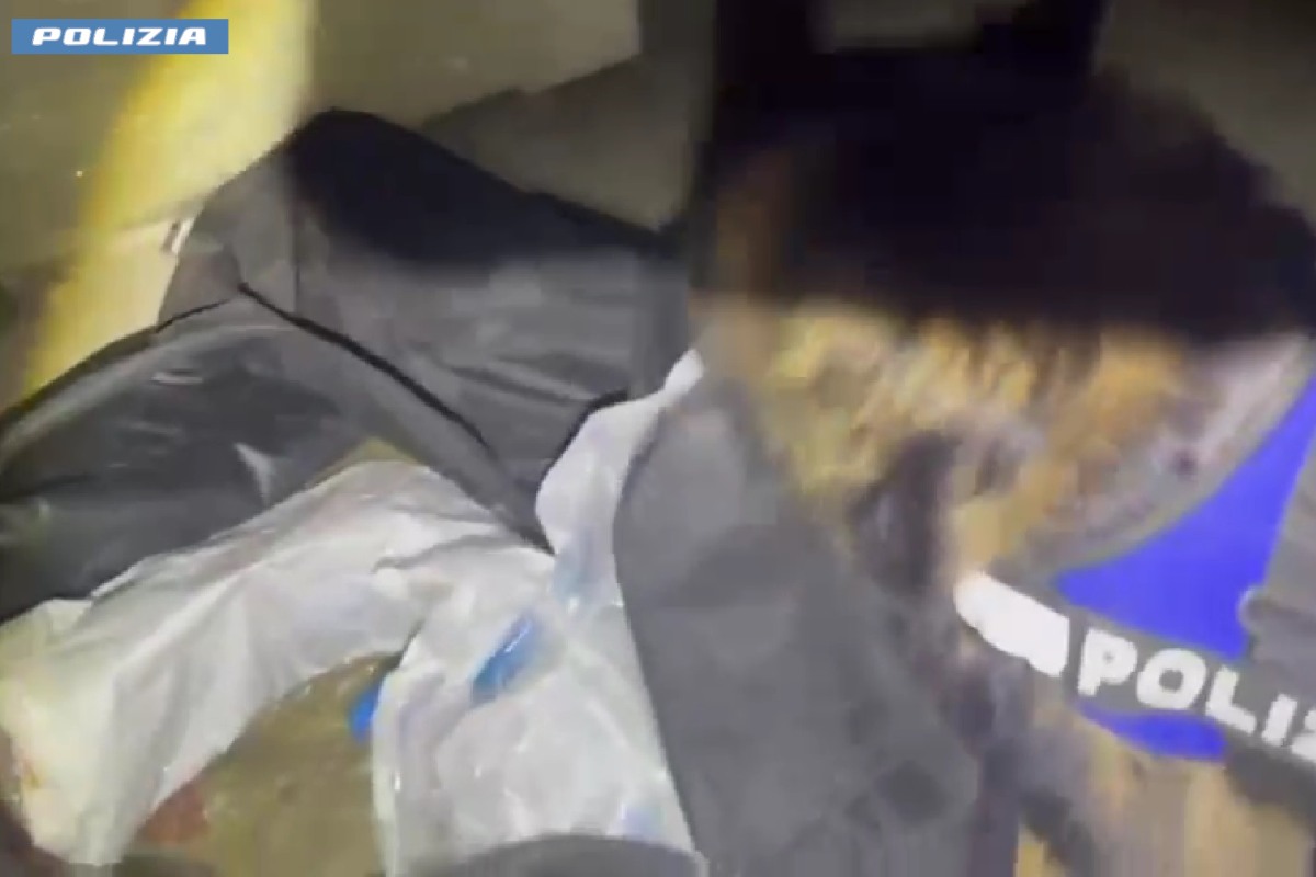 VIDEO | Nasconde più di 3 kg di droga nel garage dello zio della fidanzata: arrestato 27enne