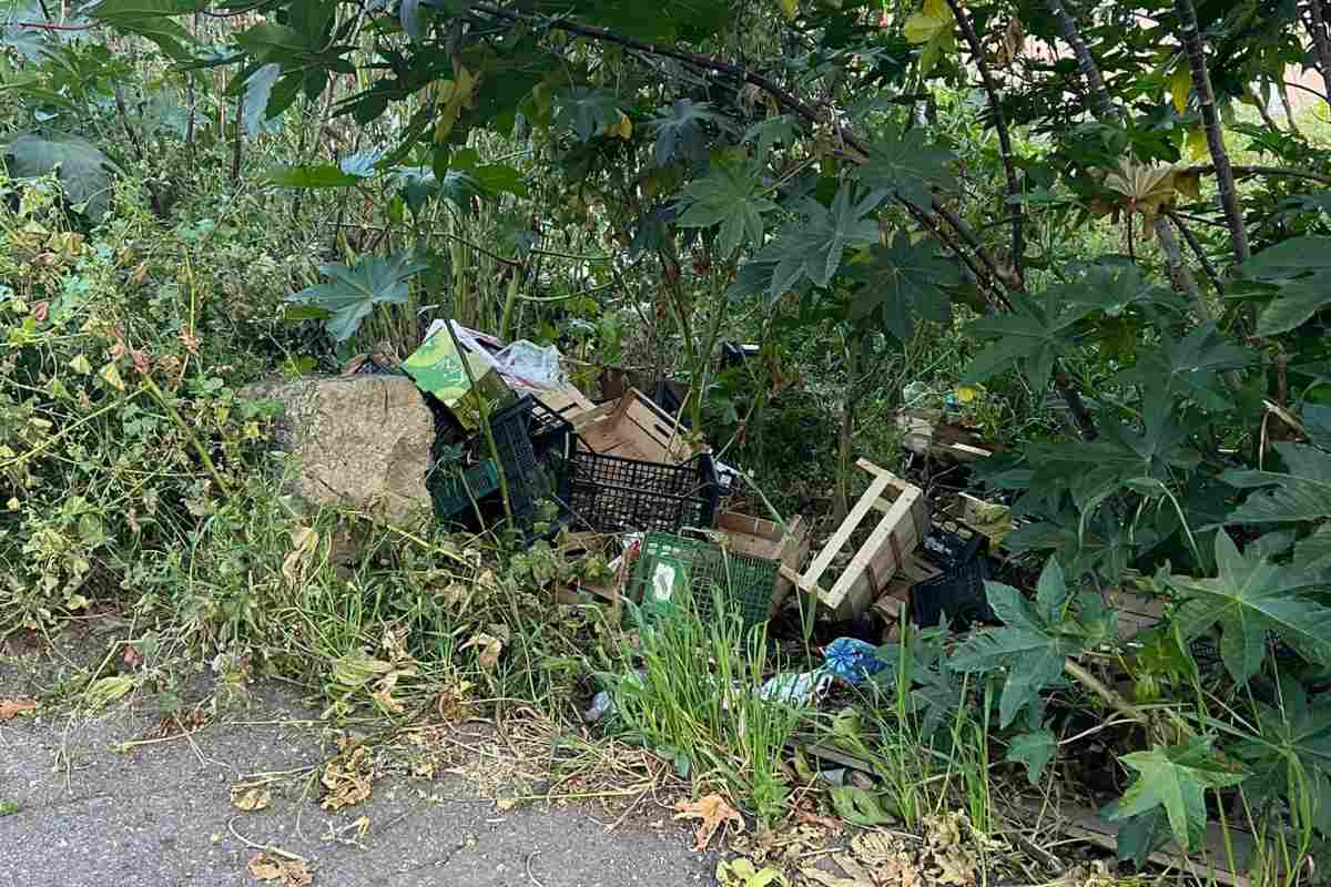 Catania, degrado e illegalità nella zona del Palazzo Bernini, Alberghina (MpA): “Serve riqualificazione”