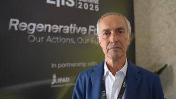 Sostenibilità: Tapella (Uiops), ‘In Italia il 95% dell’olio di palma è certificato sostenibile’