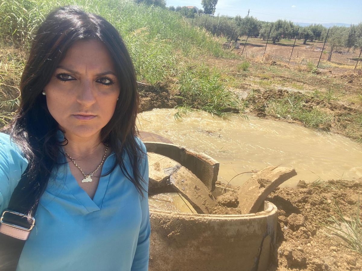 Consorzi di Bonifica, Marano (M5s): “Sì alla riforma, no a brutte sorprese per i lavoratori”