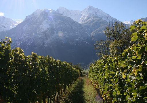 Consorzio Vini Valle d’Aosta: due eventi estivi dedicati all’enoturismo
