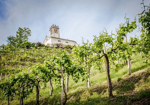L’8 giugno chiude Mostra dei Vini di Collina di San Pietro di Feletto