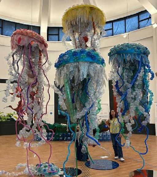 Al Bioparco a Roma la mostra “Plasticocene”, per rispettare il mare