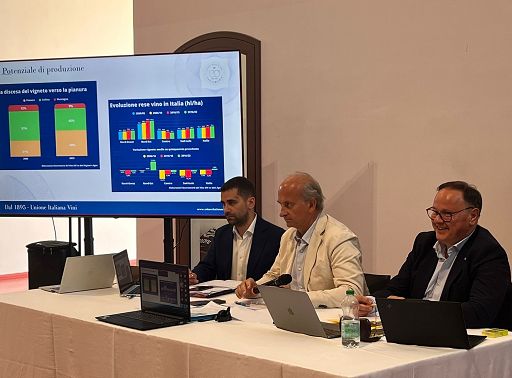 Vino, Consiglio Uiv: necessario stop transitorio a nuovi vigneti
