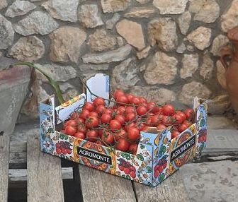 Agromonte punta su export e autoproduzione 100% pomodoro