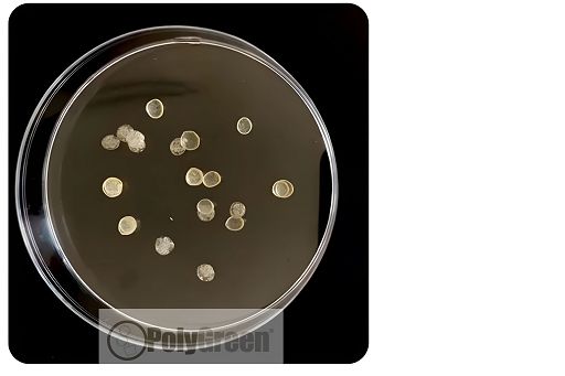 Polimero biodegradabile e atossico garantisce alle piante fino a 20 giorni di autonomia idrica