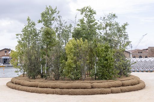 Mutti supporta il progetto Cool forest alla Biennale Architettura 2025
