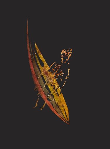 Villa Pamphili, la polizia pubblica i tatuaggi della donna a scopo identificazione