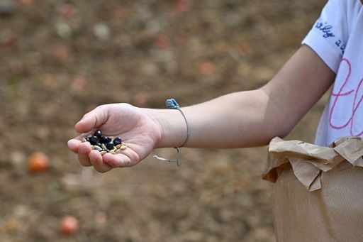 Giani: in Toscana agricoltura è tradizione e innovazione