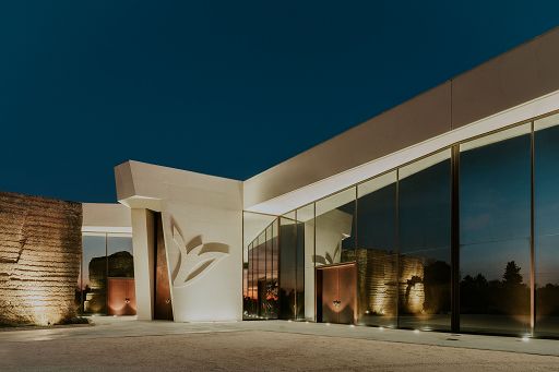 Vino, la salentina Tenuta Liliana lancia il suo primo Sauvignon Blanc