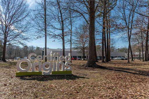 Olio d’oliva, Certified Origins: fatturato 2024 supera i 442 mln