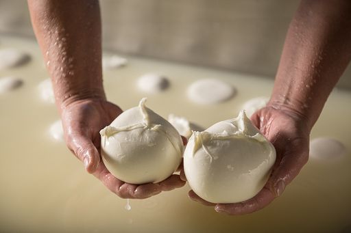 Dal Giappone agli Usa, la Bufala Dop a Union Square a Ny