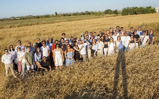 Da Petra Molino Quaglia progetto Neogranìa per grano autoctono Da Petra Molino Quaglia progetto Neogranìa per grano autoctono