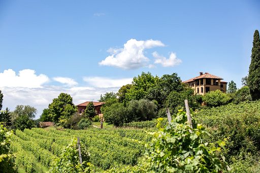 Cascina Gilli: tappo a vite per “Malvasia di Castelnuovo Don Bosco Doc”
