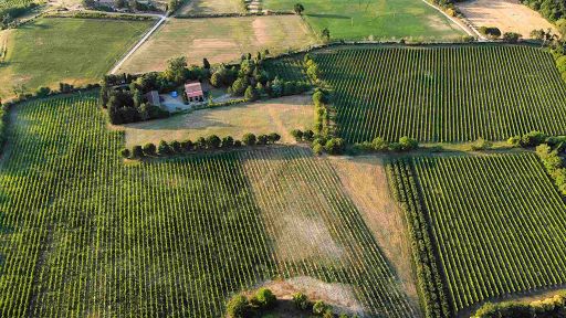 Vino, Rontana festeggia 25 anni con una nuova cantina a Brisighella
