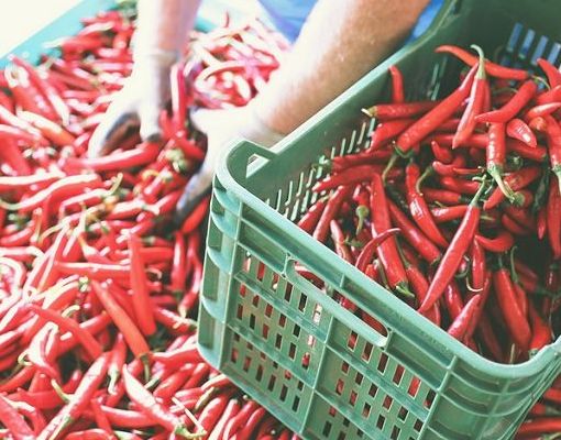 La ‘Nduja di Madeo sbarca in Usa: prima volta per salume calabrese