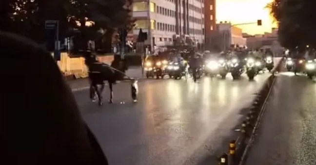 Incredibile a Palermo: folle corsa clandestina di cavalli all’alba