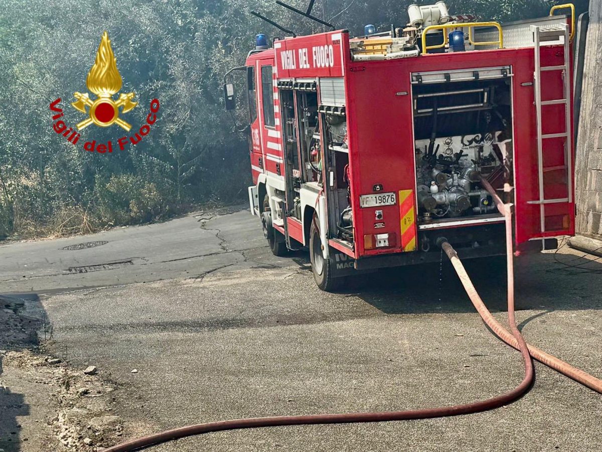 Incendi in Sicilia, interventi dei vigili del fuoco, forestali e protezione civile:  le zone più colpite