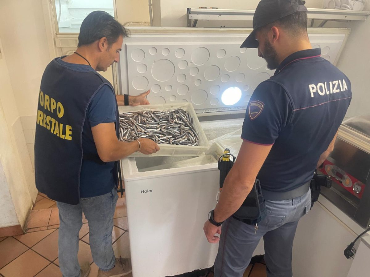 Ristorante chiuso per blatte e lavoro nero: controlli e sanzioni per oltre 15 mila euro nel Catanese