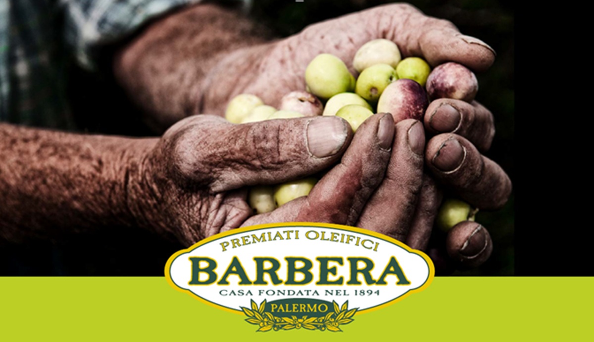 Alla scoperta degli Oleifici Barbera, una giornata dedicata all’olio e l’idea di un parco tematico