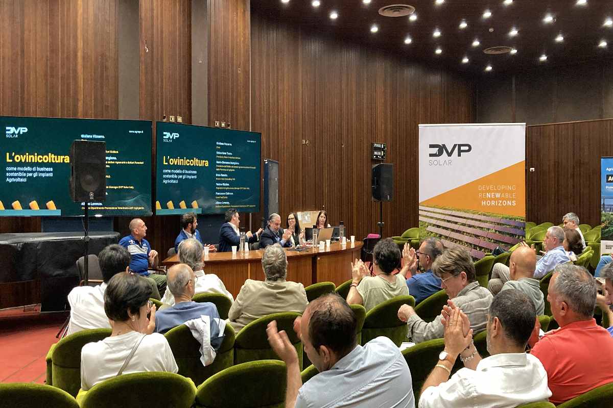 Ovinicoltura, dibattito al Congresso su agricoltura e fotovoltaico - QdS