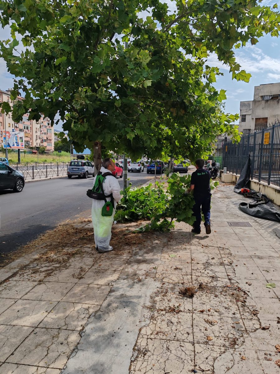 Reset, continua il programma di lavori di diserbo nelle vie cittadine