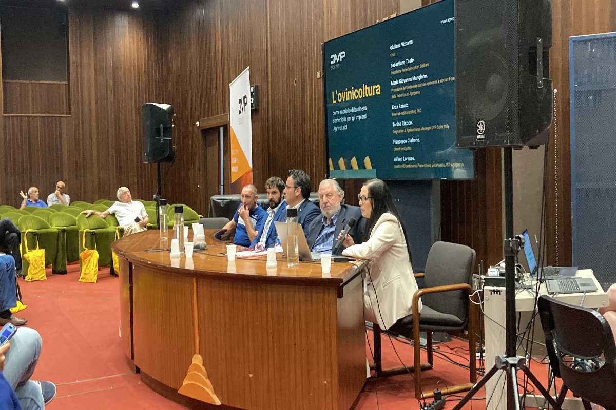 Primo Congresso Internazionale di Agroecologia del Mediterraneo ad Agrigento - QdS