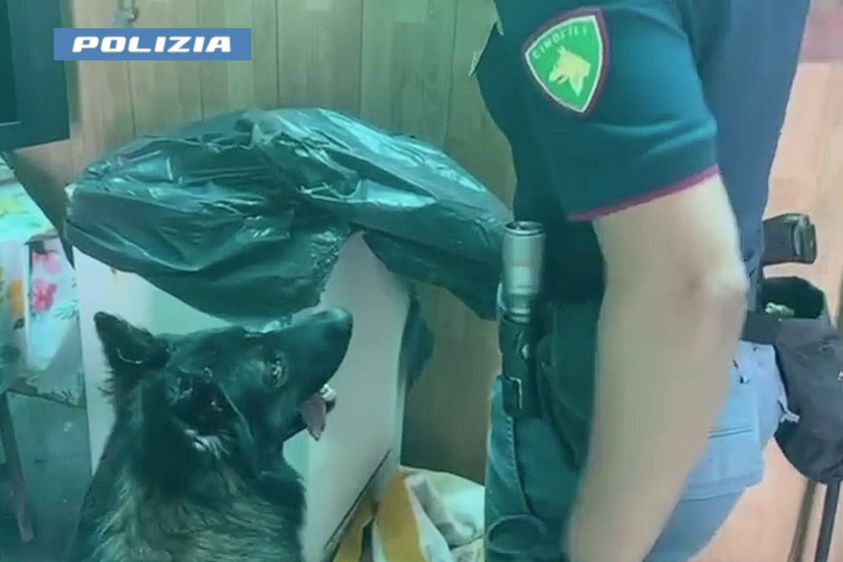 VIDEO | Nasconde la droga nel freezer, arrestato 61enne a Catania