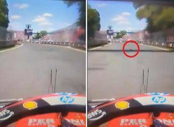 Gp Montreal, Hamilton investe una marmotta. Poi i problemi ai freni – Il video