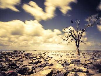 Clima, soffre di ‘ecoansia’ il 67% dei giovani nel mondo