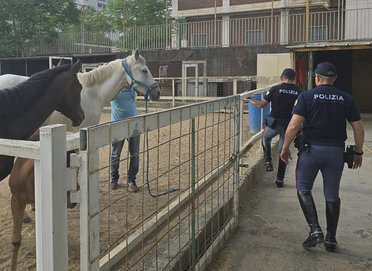 Stalla abusiva scoperta a Catania: maxi sanzione da 9.500 euro e cavalli sotto sequestro