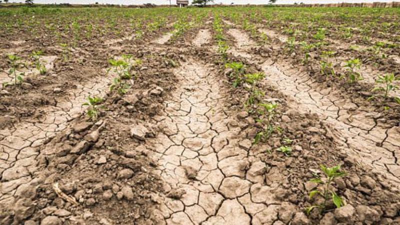 Crisi idrica, CNA Trapani denuncia fallimento gestione Governo regionale: “Servono interventi strutturali ora”