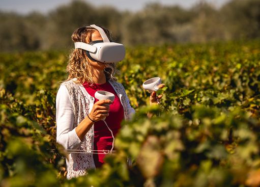 Vino, la realtà virtuale tra le vigne di Bolgheri di Campo alla Sughera