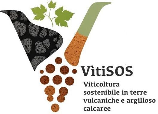 Vitigni resistenti e sostenibili: al via progetto VitiSos in 4 Regioni