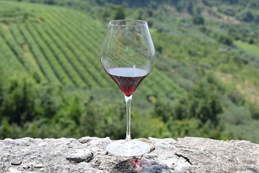 Consorzio Valpolicella: cresce il base (+5%), calano Amarone e Recioto