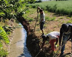 Agricoltura in allarme per emergenza idrica nel piacentino