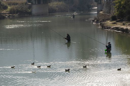 Pesca sportiva, Pichetto: semplificare immissioni di specie ittiche