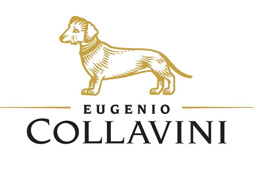 Vino, la Cantina Collavini crea il profumo “Ribolla per Cani”