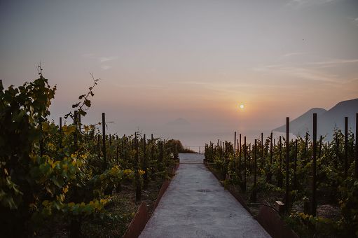 Vino, “Sunset Live Music”: musica tra le vigne di Tenuta di Castellaro