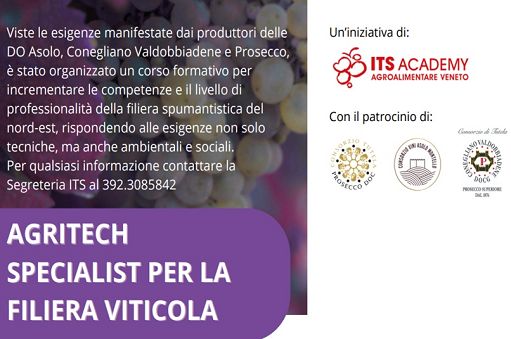 Formazione vitivinicola: a Conegliano il corso Agritech Specialist