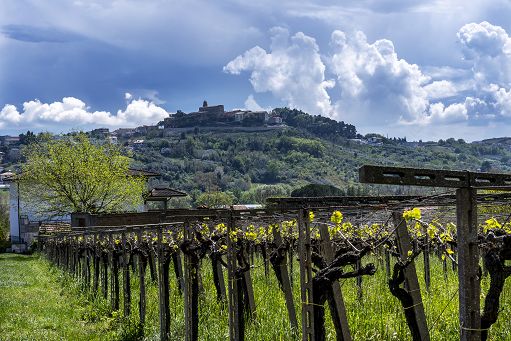 Vino, dal 11 al 13 luglio torna il “Tollo Wine Festival”