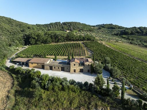 Vino, debutta Aminta, nuova Tenuta di Famiglia Cecchi a Montalcino