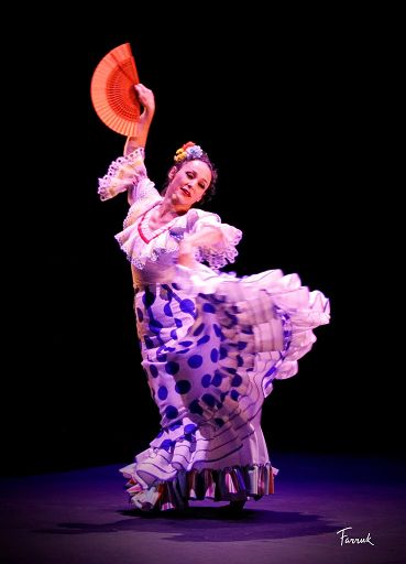 Al via la quarta edizione del FestivalArteInVivo